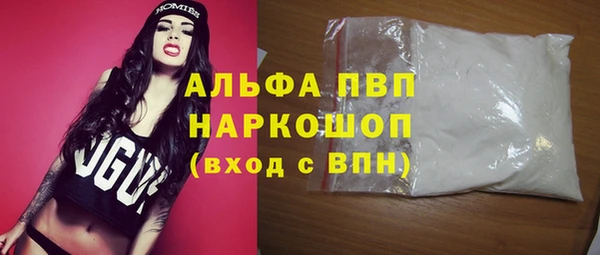 эйфоретик Бородино