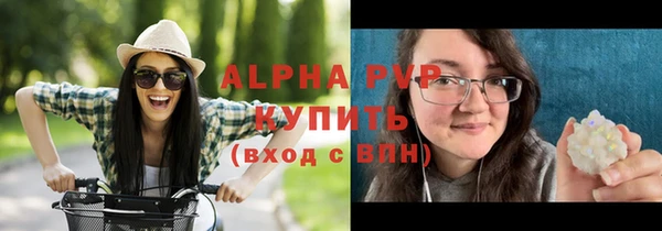 эйфоретик Бородино