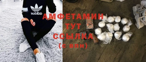 эйфоретик Бородино