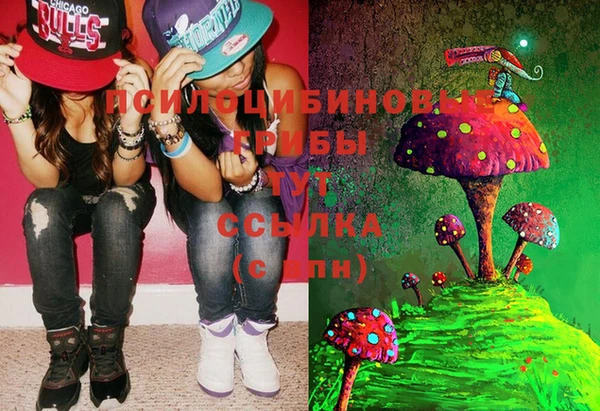 мдма Бронницы