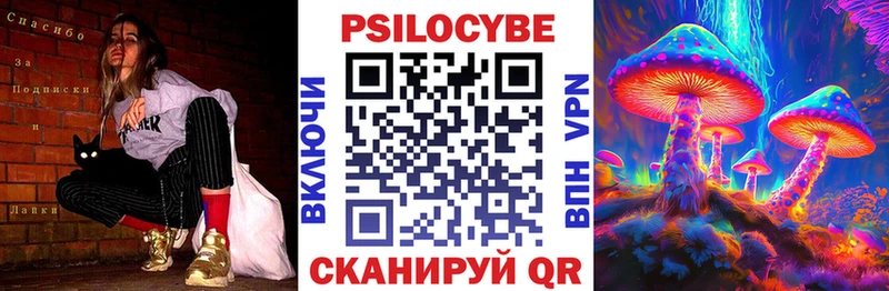 Купить закладки  Павлово  Псилоцибиновые грибы мицелий 